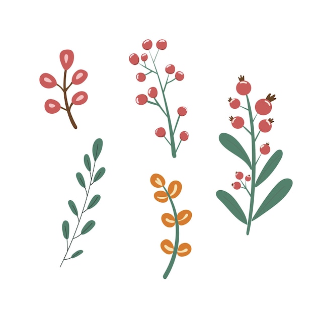 Conjunto de ramas botánicas con bayas Plantas y follaje de otoño para el diseño temático de la naturaleza estacional