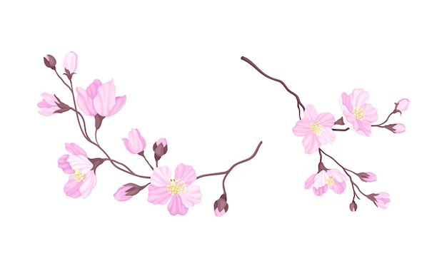Conjunto de ramas de cerezas en flor ramas de Sakura con flores rosas ilustración vectorial