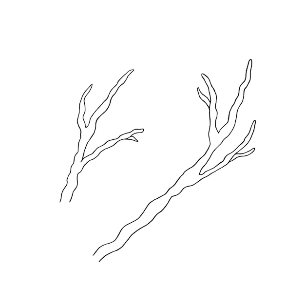 Conjunto de ramas desnudas ilustración vectorial dibujada a mano para páginas para colorear tarjetas impresiones embalaje
