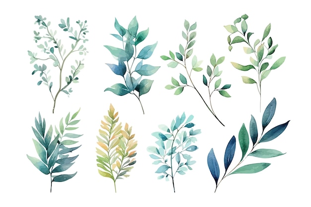 Vector conjunto de ramas de hierbas colección decorativa botánica de la naturaleza conjunto de hojas tropicales de colección aislada de ilustración vectorial