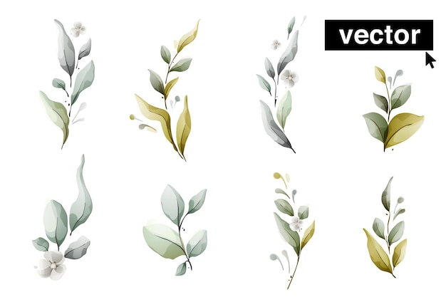 Conjunto de ramas de hierbas Vector claro hojas y flores verdes y tenues