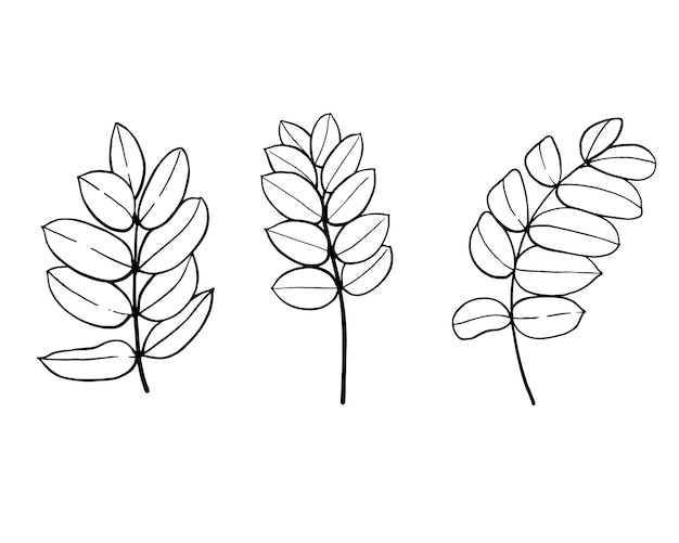 Conjunto con ramas y hojas Ilustración vectorial dibujada a mano en estilo de esquema de boceto garabato
