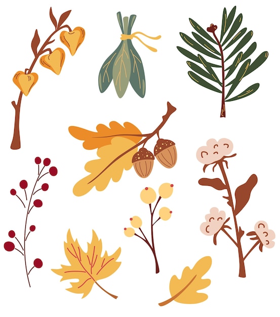 Vector conjunto de ramas de hojas de otoño y bayas. colección floral de la naturaleza.