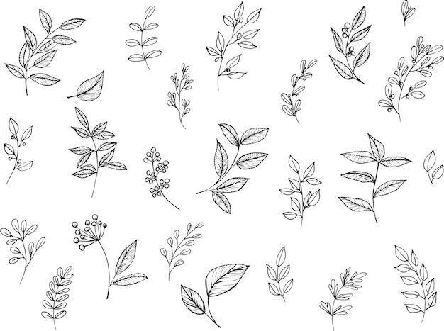 Conjunto de ramas de plantas vectoriales gráficas con hojas y flores.