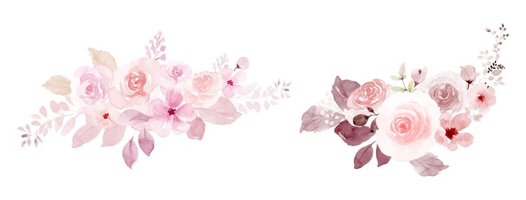 Vector conjunto de ramos de flores de color rosa claro y rojo acuarela. composición de acuarela floral pintada a mano aislada sobre fondo blanco, adecuada para diseño de tarjetas, bodas, invitaciones, saludo, ahorre la fecha.
