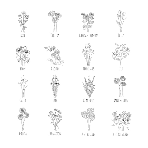 Conjunto de ramos de flores principales. Gráficos de línea. ilustración vectorial