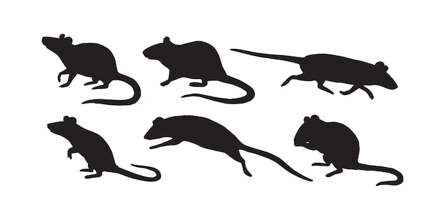 conjunto, de, rata, ratón, siluetas