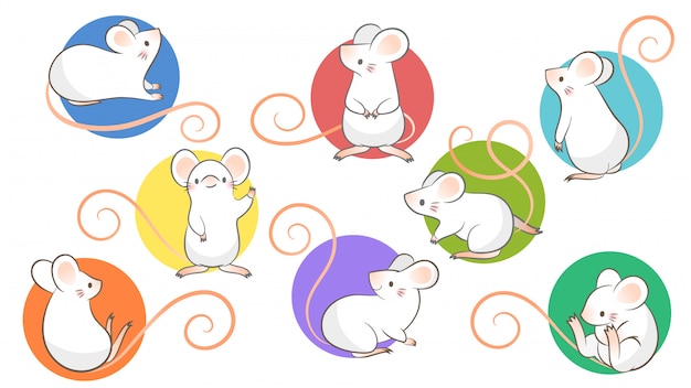 Vector conjunto de ratas dibujadas a mano, ratón en diferentes poses en blanco fundamento.