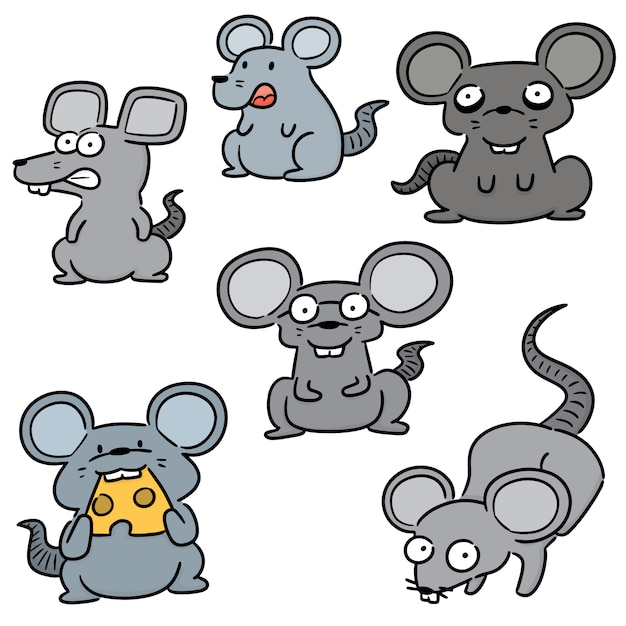conjunto de ratón