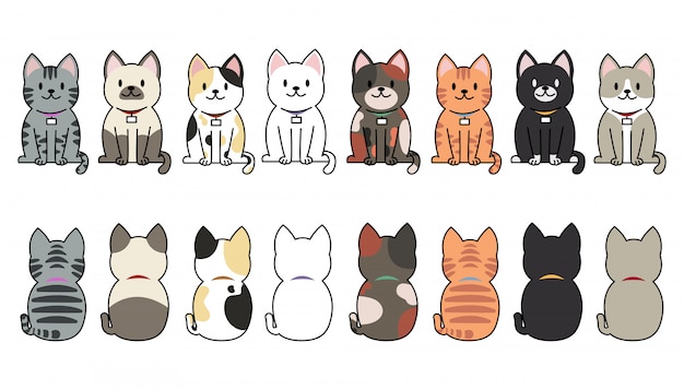 Conjunto de razas de gatos divertidos dibujos animados.