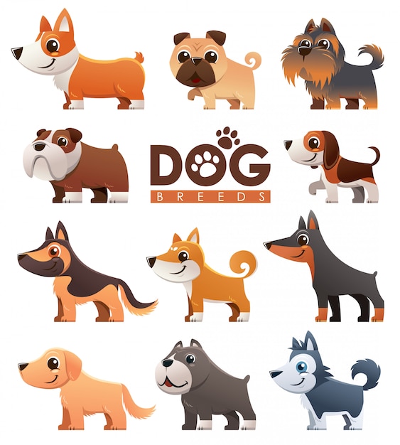 Vector conjunto de razas de perros de dibujos animados