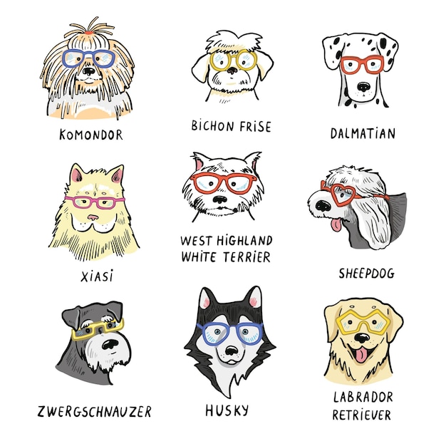 Conjunto de razas de perros lindos Ilustración vectorial dibujada a mano en estilo boceto