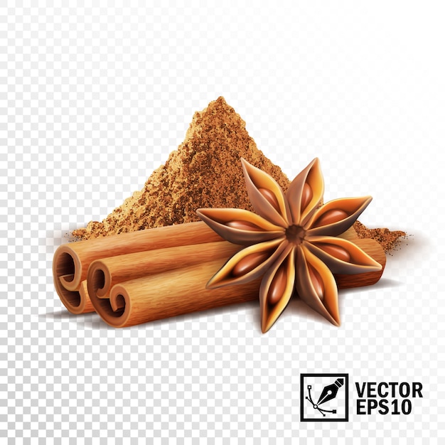 Vector conjunto realista en 3d de ramas de canela, estrellas de anís y un montón de canela