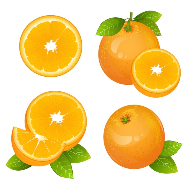 Vector conjunto de rebanada de fruta naranja jugosa fresca