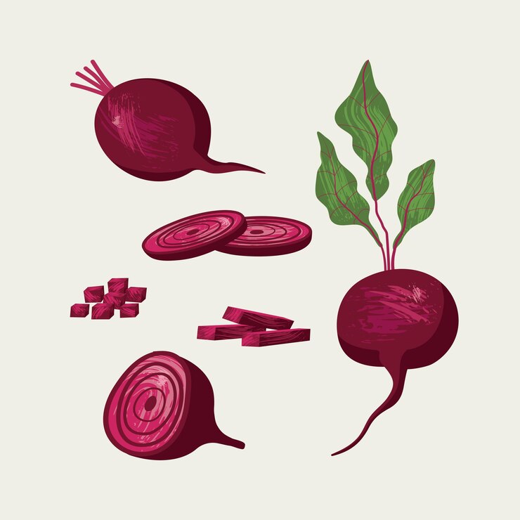 Vector conjunto de remolacha vectorial ilustración de remolacha aislada en rodajas diseño de remolacha con textura de pincel