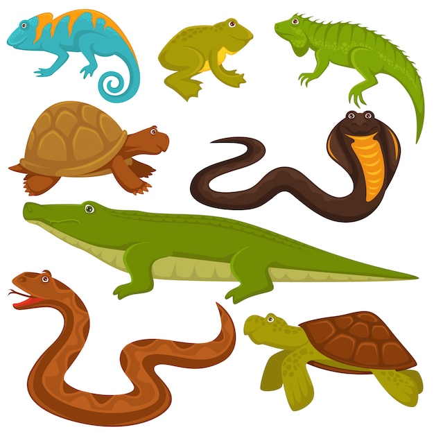 Vector conjunto de reptiles y animales reptiles tortuga, cocodrilo o camaleón y serpiente lagarto