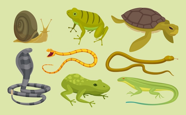 Conjunto de reptiles. Lagarto, serpiente, tortugas, caracol, caricatura, vector, animales salvajes. Lagarto y tortuga, serpiente reptil animal ilustración