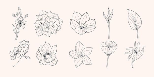 Conjunto retro de contornos de flores dibujadas a mano, plantas florales en flor en grabado botánico de estilo vintage