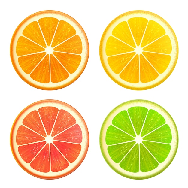 Conjunto de rodajas de cítricos frescos Naranja pomelo limón lima vista superior vector realista aislado