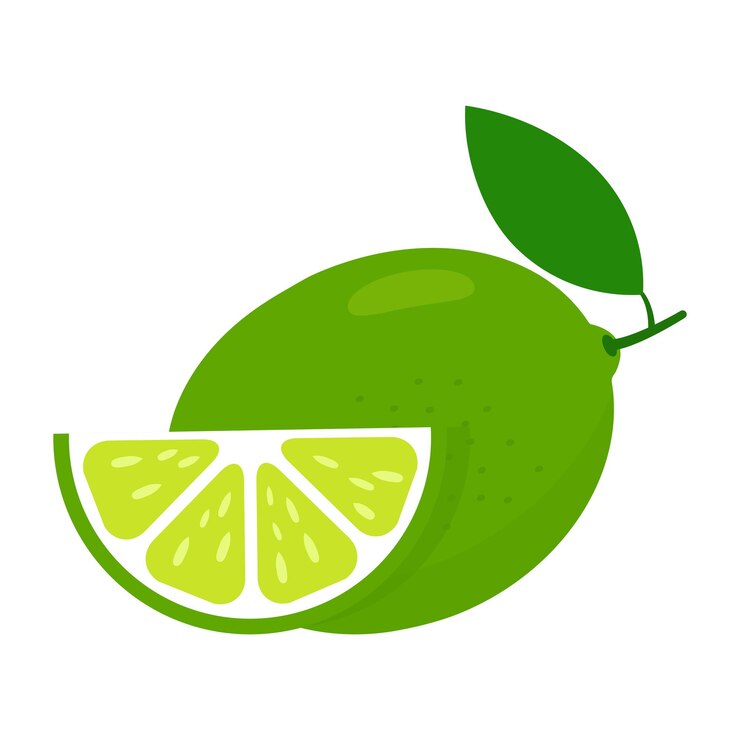 Vector conjunto de rodajas frescas de lima.
