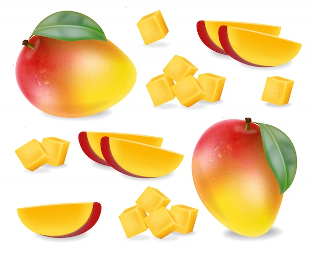 Vector conjunto de rodajas de fruta de mango