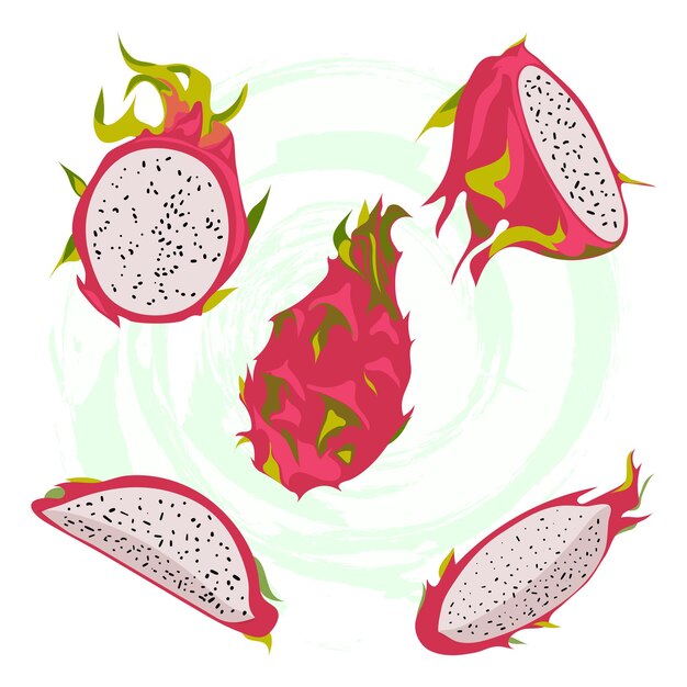 Vector un conjunto de rodajas de pitaya roja frescas, enteras y cortadas a la mitad.