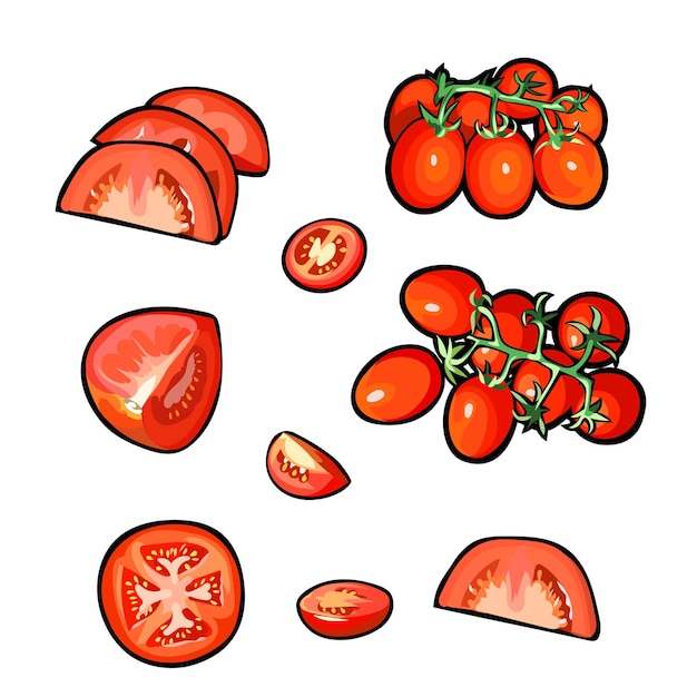 Conjunto de rodajas de tomate de vector sobre fondo blanco