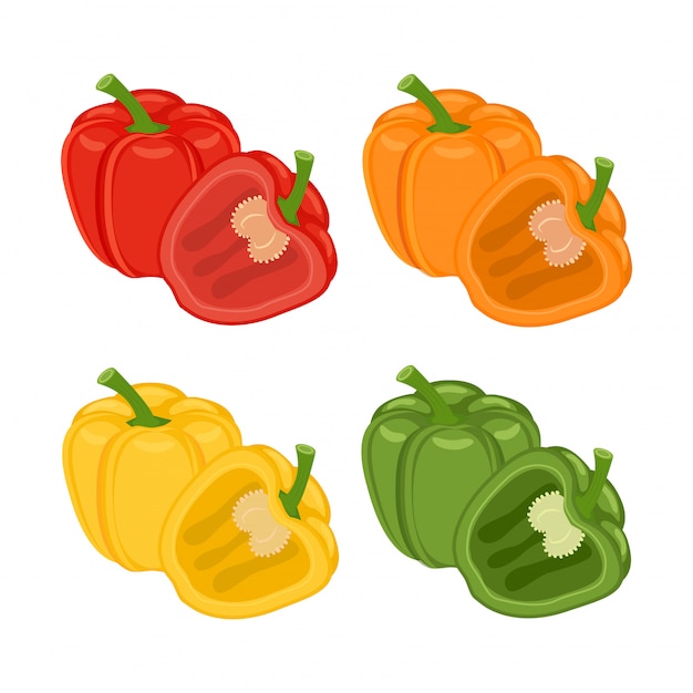 Vector conjunto de rojo, naranja, verde y amarillo entero y medio pimientos ilustración de verduras aislado en blanco