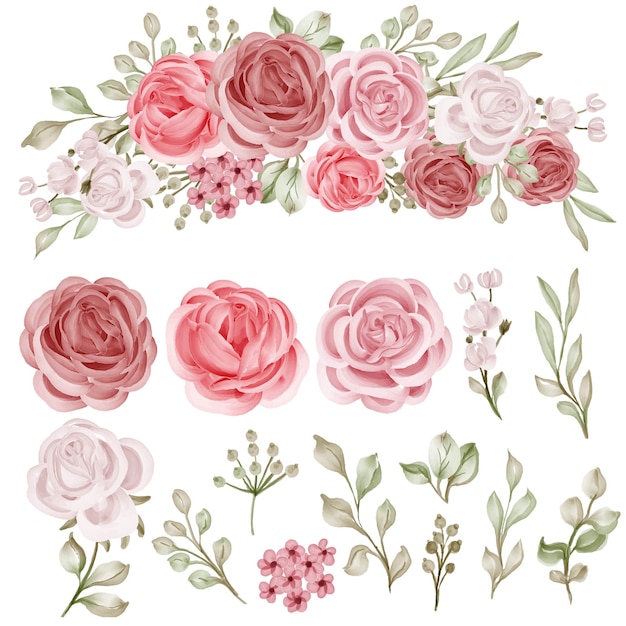 Vector conjunto, de, rosa, aislado, rosa, flor rosa clipart