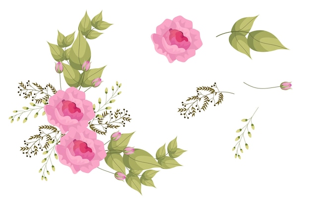 Conjunto, de, rosa, flores, y, hoja verde, clipart, aislado