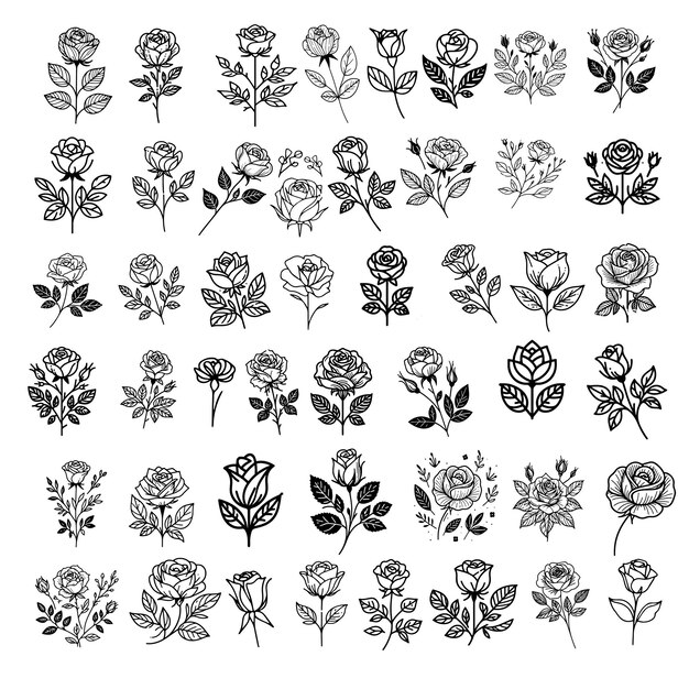 Conjunto de rosas botánicas de vector dibujado a mano