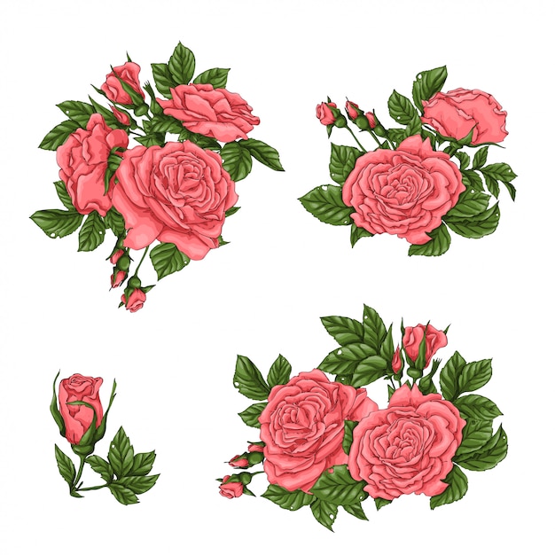 Conjunto de rosas de coral.