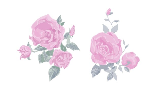 Un conjunto de rosas dibujadas en estilo vintage para uso en interiores, industria, impresión. Ilustración vectorial