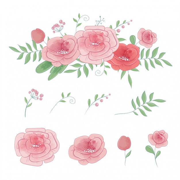 Conjunto de rosas y ramos de flores, acuarela vector