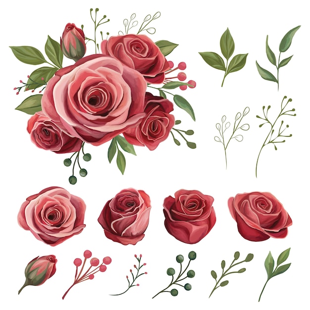 Conjunto de rosas rojas y hojas verdes ramo aislado clipart