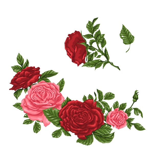 Conjunto de rosas rosadas y rojas, ramos de flores y capullos.