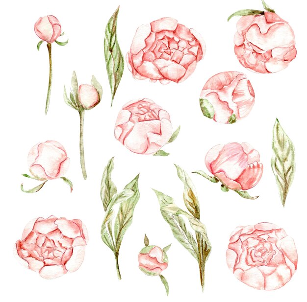 Conjunto de rosas rosadas vintage para san valentín