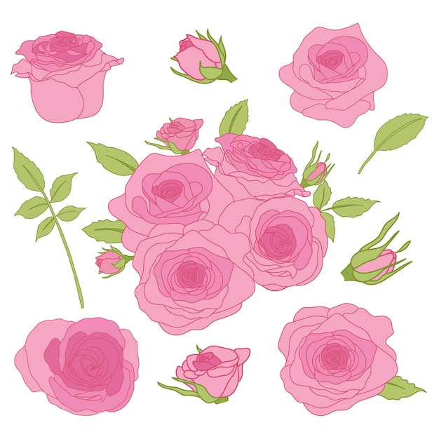 Conjunto de rosas rosas y hojas verdes para bodas o tarjetas de felicitación de San Valentín
