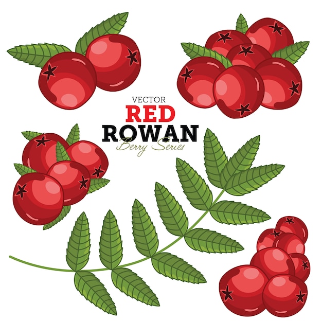 Conjunto Rowan