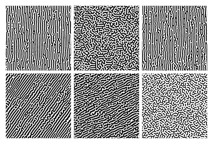 Vector conjunto de seis fondos de gradiente de reacción de turing monocromáticos. patrón de difusión abstracto con formas caóticas. ilustración vectorial.