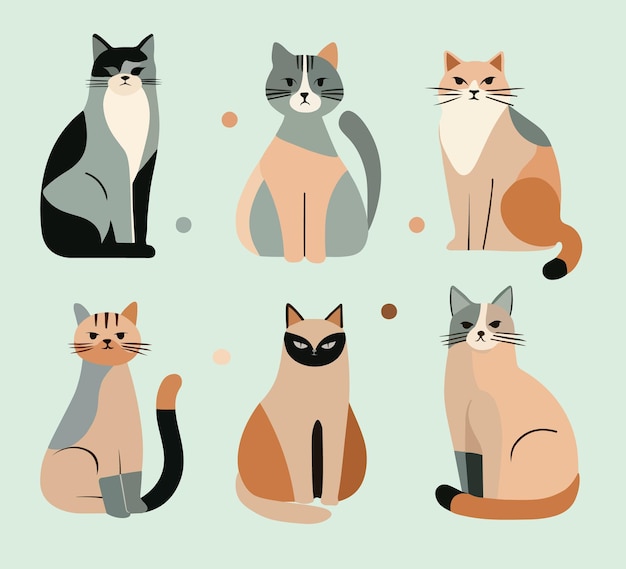 conjunto de seis gatos abstractos vectoriales