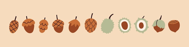 Conjunto sencillo de castaño cono Conjunto de otoño de elementos de diseño acogedores y bonitos dibujados a mano Acción de Gracias de otoño