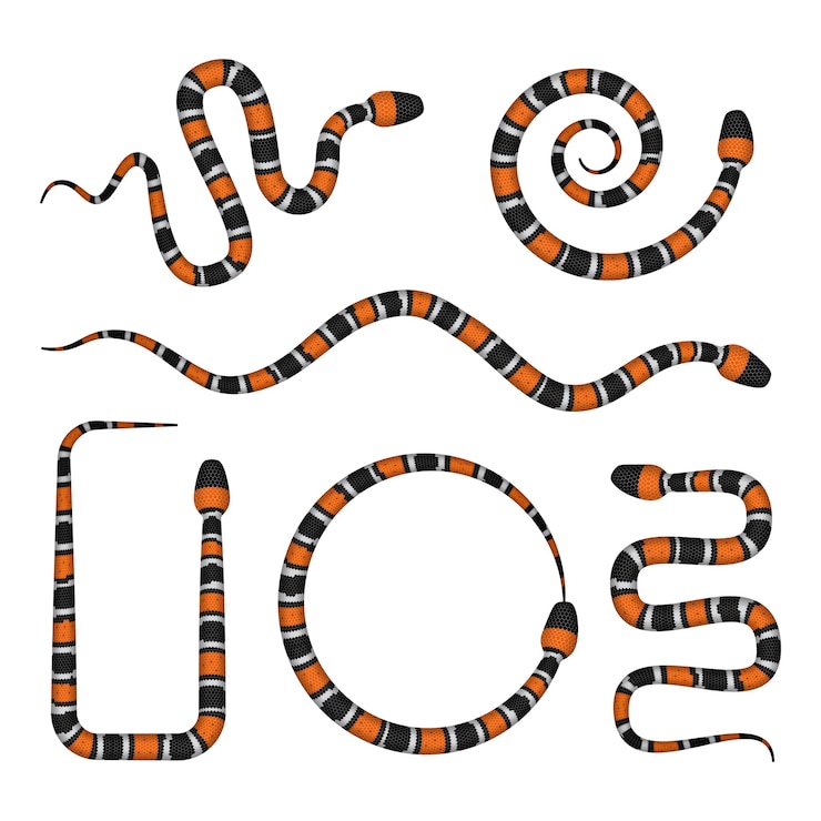 Vector conjunto de serpientes de coral