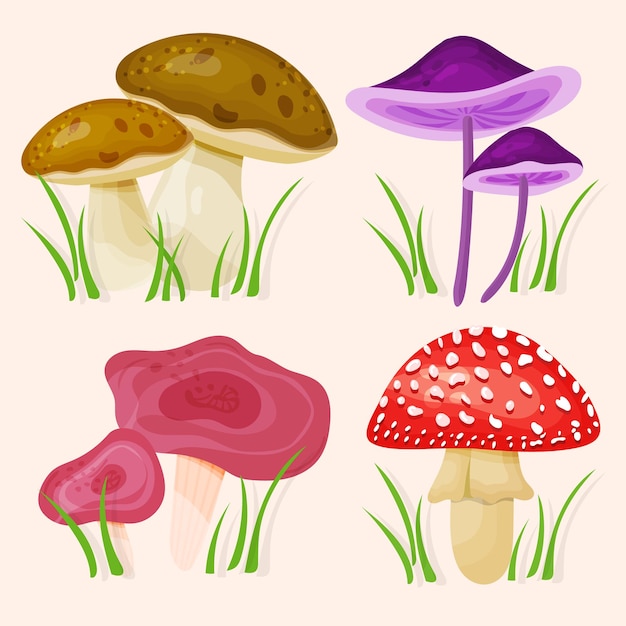 Conjunto de setas del bosque otoñal en estilo de dibujos animados aislado