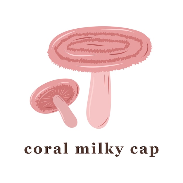 Conjunto de setas de tapa lechosa de coral grandes y pequeñas setas comestibles ilustraciones vectoriales aisladas