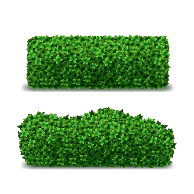Vector conjunto de setos verdes 3d detallados realistas vista de primer plano decoración follaje arbusto para jardín ilustración vectorial de seto