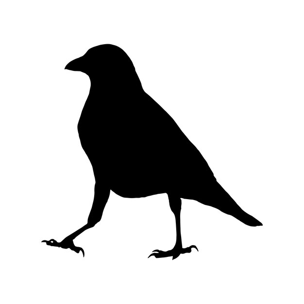conjunto de silueta de cuervo colección aislado negro sobre fondo blanco ilustración vectorial