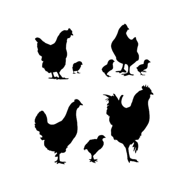 Vector conjunto de silueta de gallina