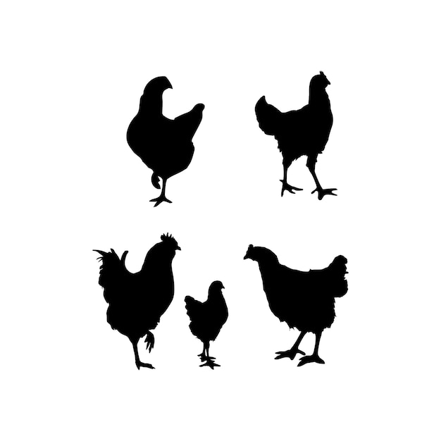 Vector conjunto de silueta de gallina