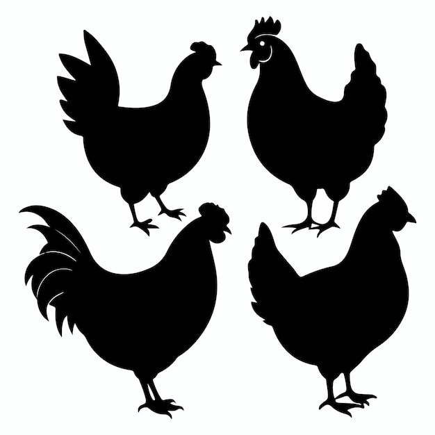 Conjunto de silueta de gallo silueta de pollo negro pollo transparente vector de gallo de lucha